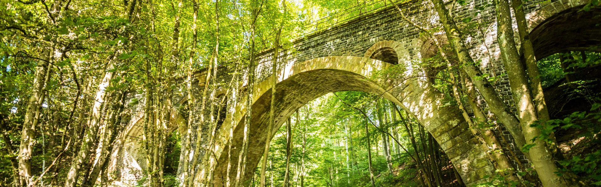Umgebung von Bad Marienberg