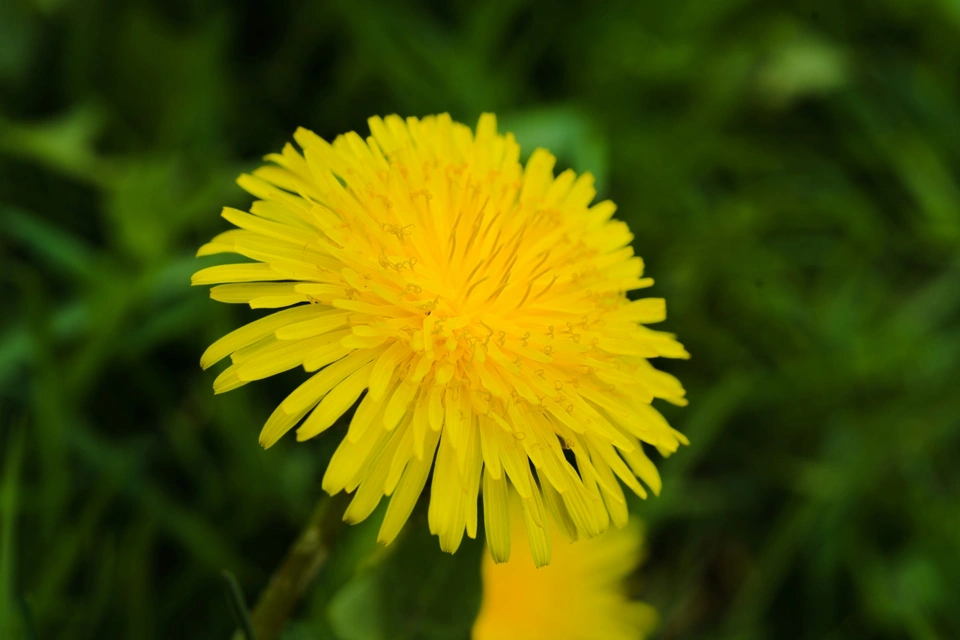 Armbad Armbad